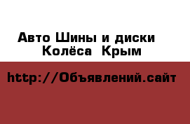 Авто Шины и диски - Колёса. Крым